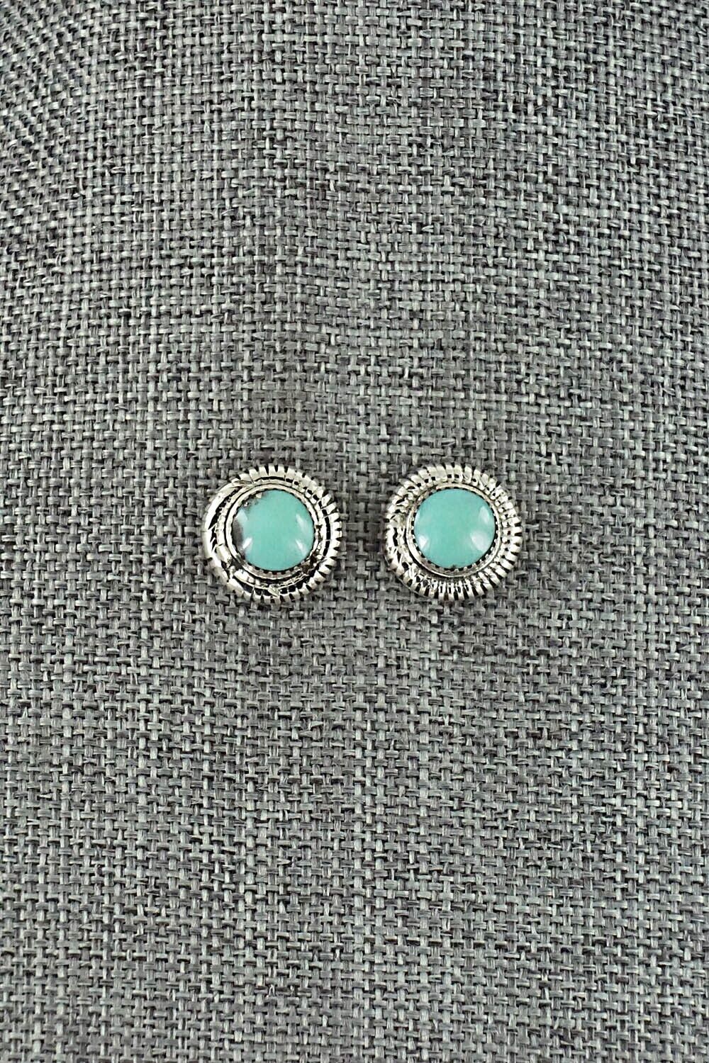 Turquoise & Sterling Silver Earrings - Sharon Clark
