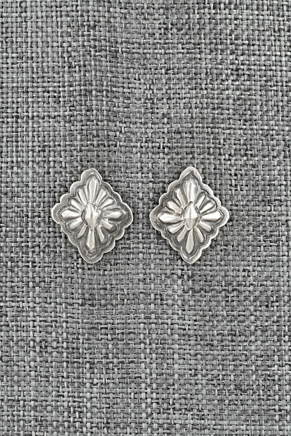 Sterling Silver Earrings - Terry Charlie