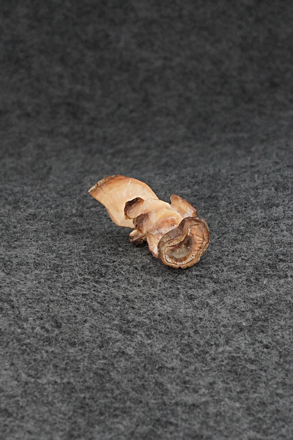 Eagle Zuni Fetish Carving - Lewis Malie