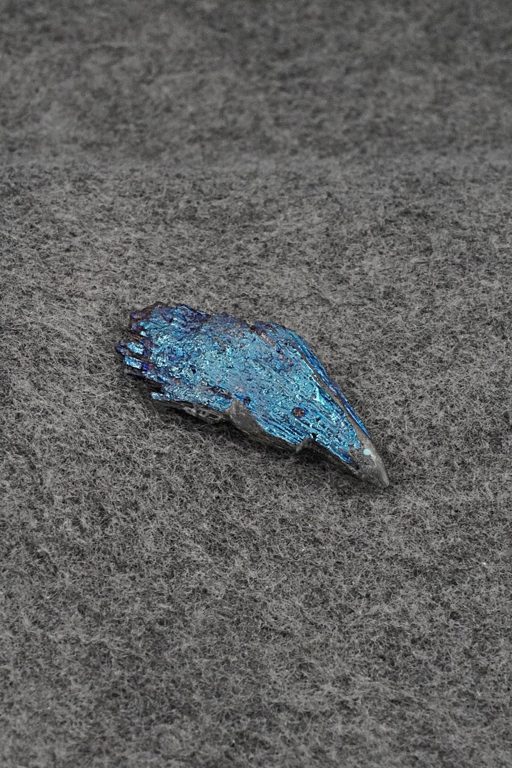 Porcupine Zuni Fetish Carving - Abby Quam Panteah