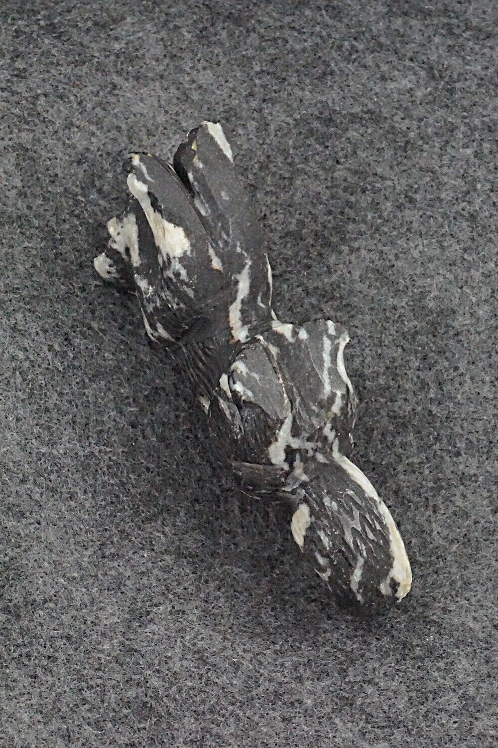 Wolf Zuni Fetish Carving - Tony Mackel