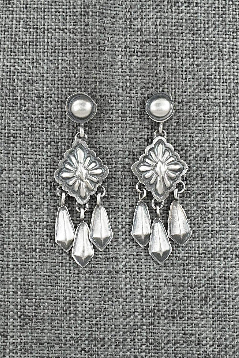Sterling Silver Earrings - Terry Charlie