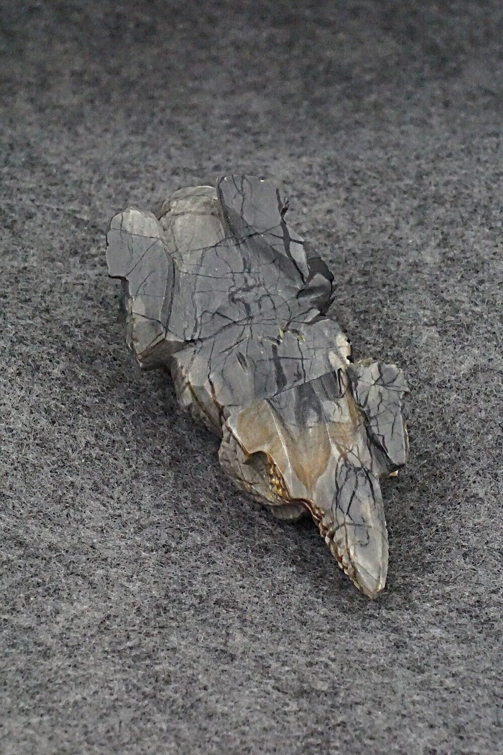 Badger Zuni Fetish Carving - Tony Mackel