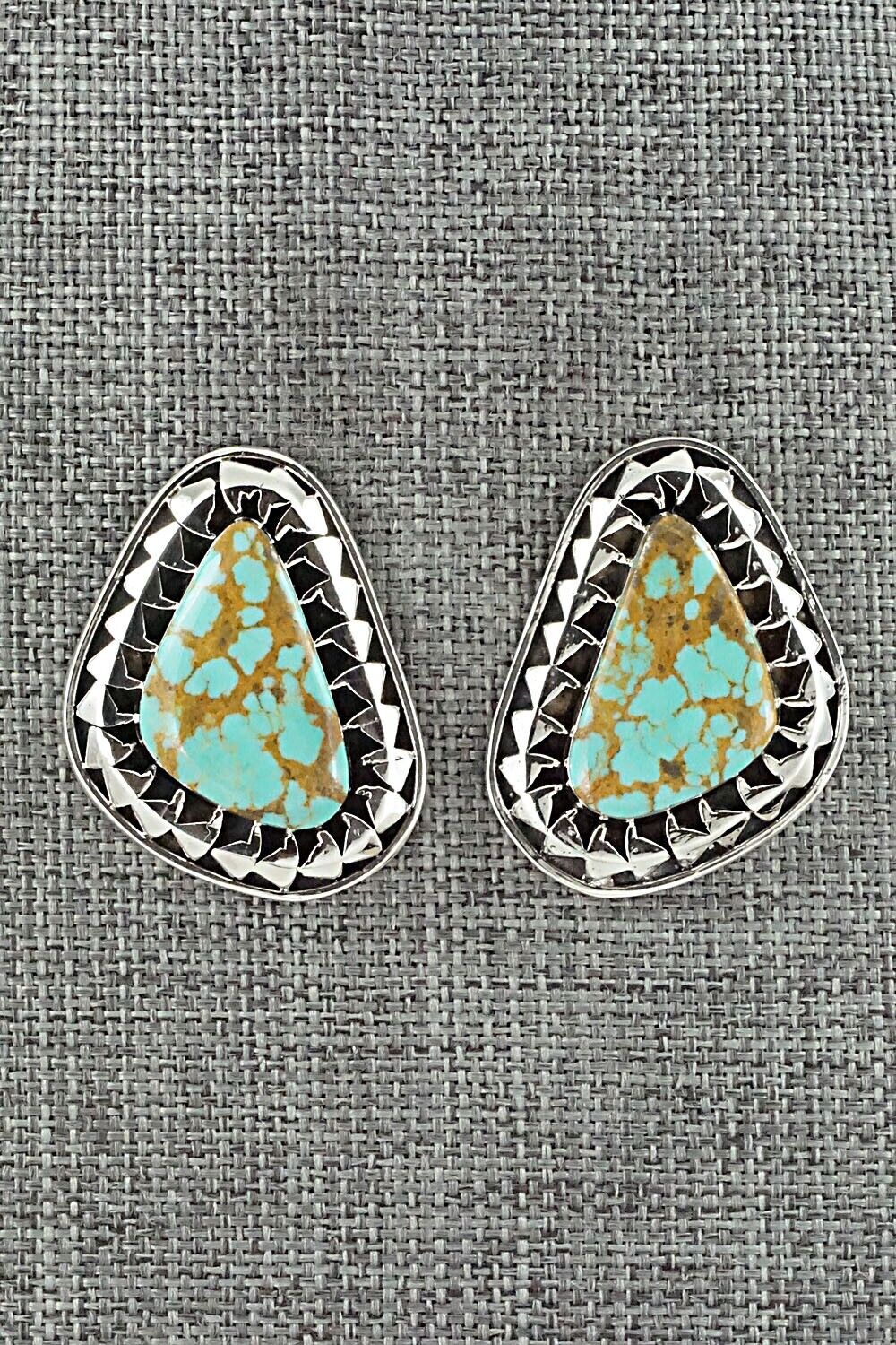 Turquoise and Sterling Silver Earrings - Sharon McCarthy