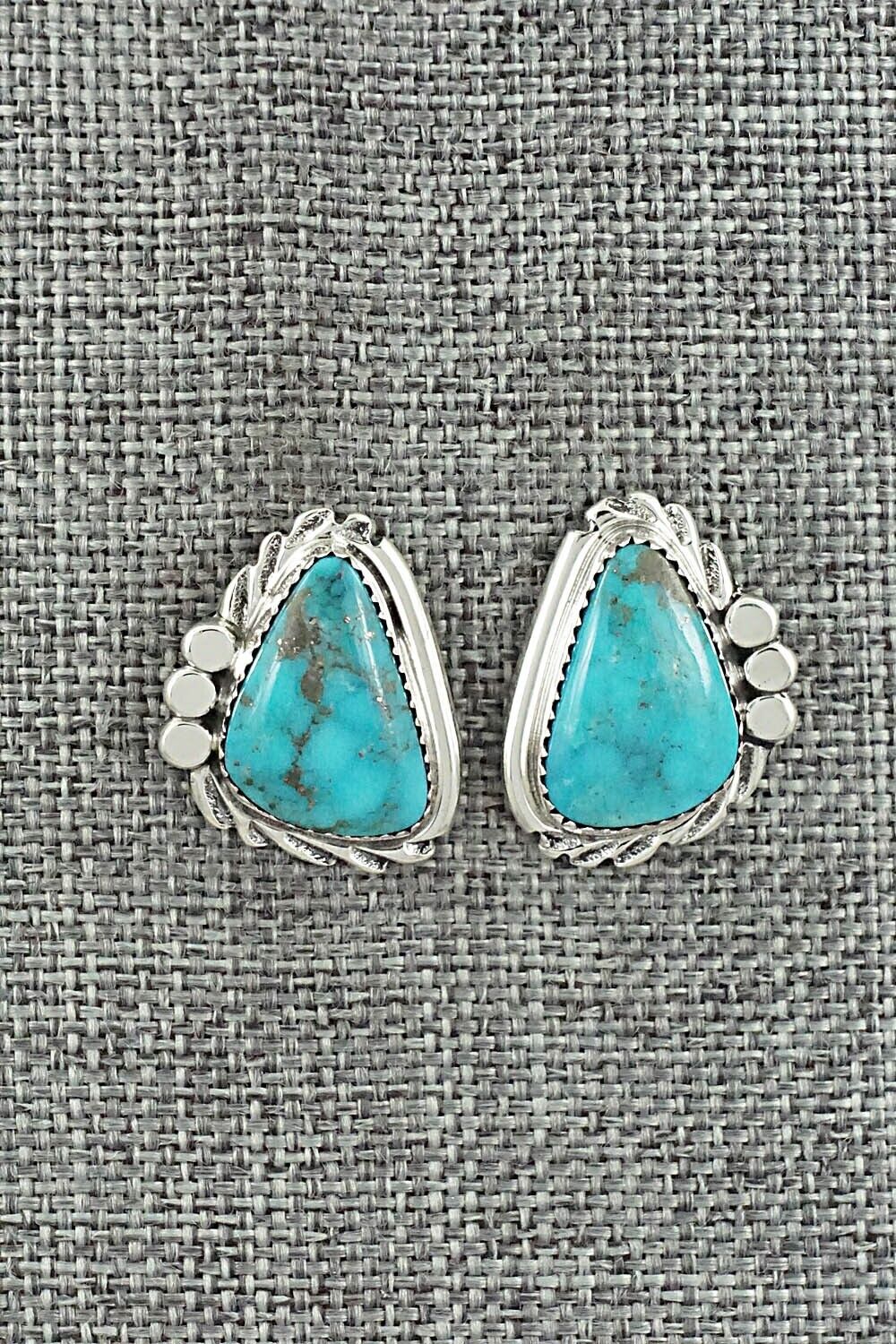 Turquoise and Sterling Silver Earrings - Delores Cadman
