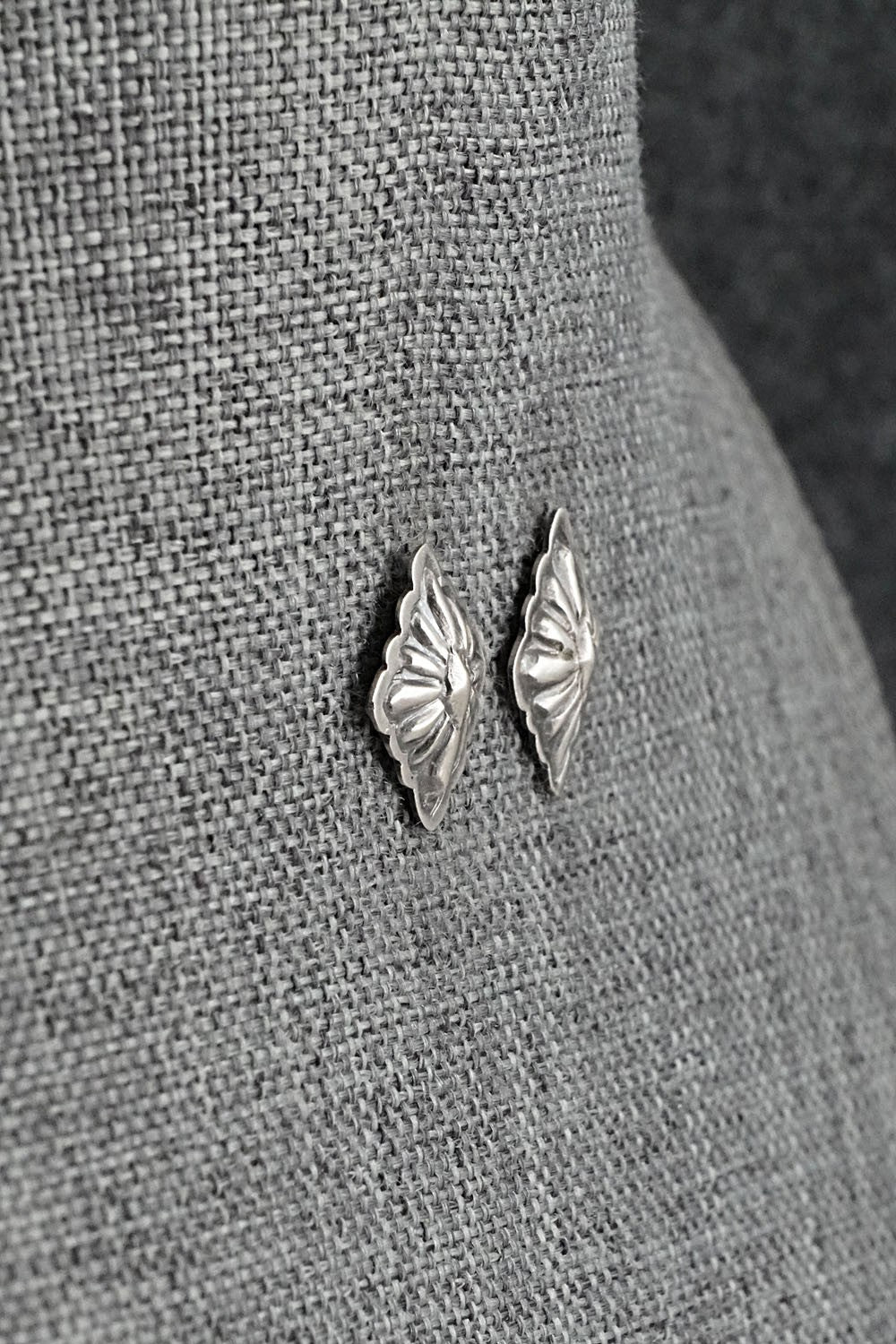 Sterling Silver Earrings - Terry Charlie
