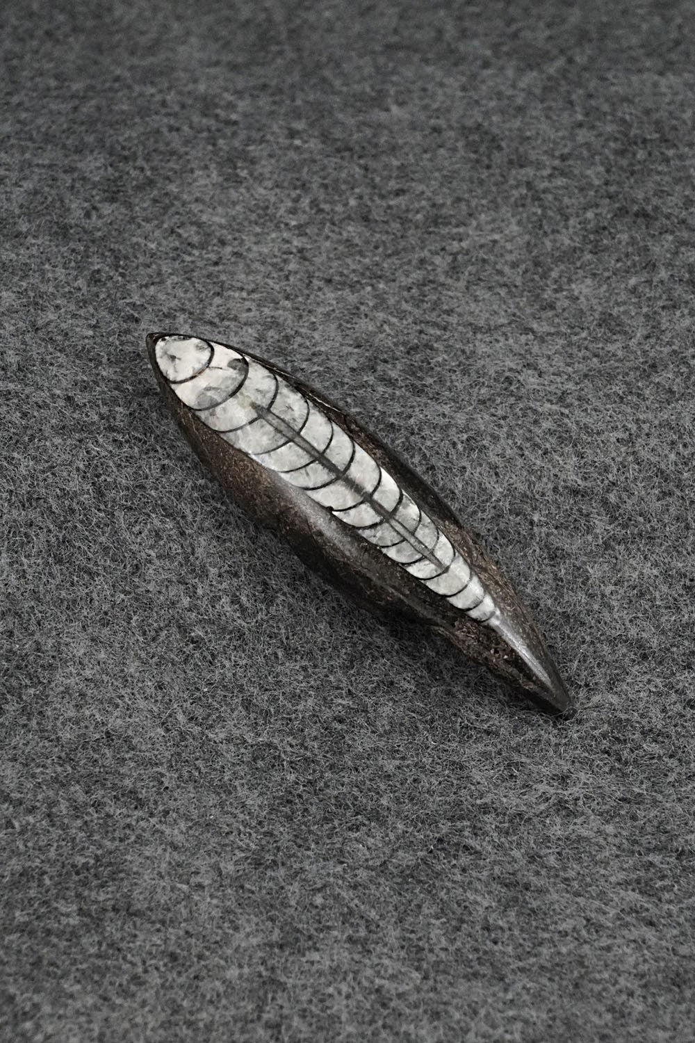 Mole Zuni Fetish Carving - Abby Quam Panteah