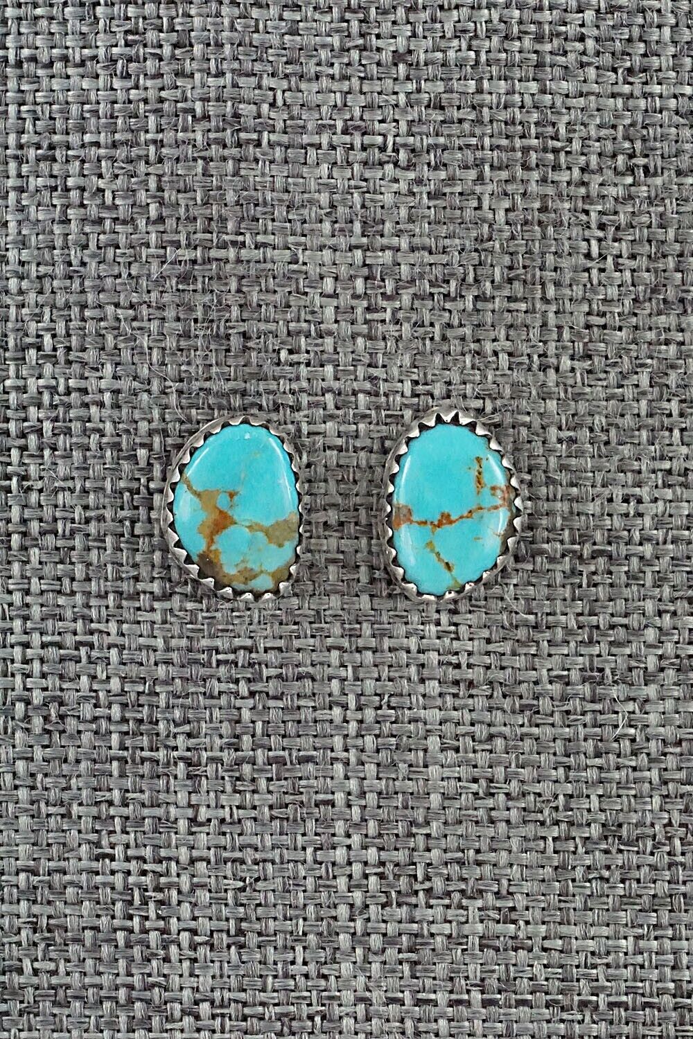 Turquoise & Sterling Silver Earrings - Theresa Smith
