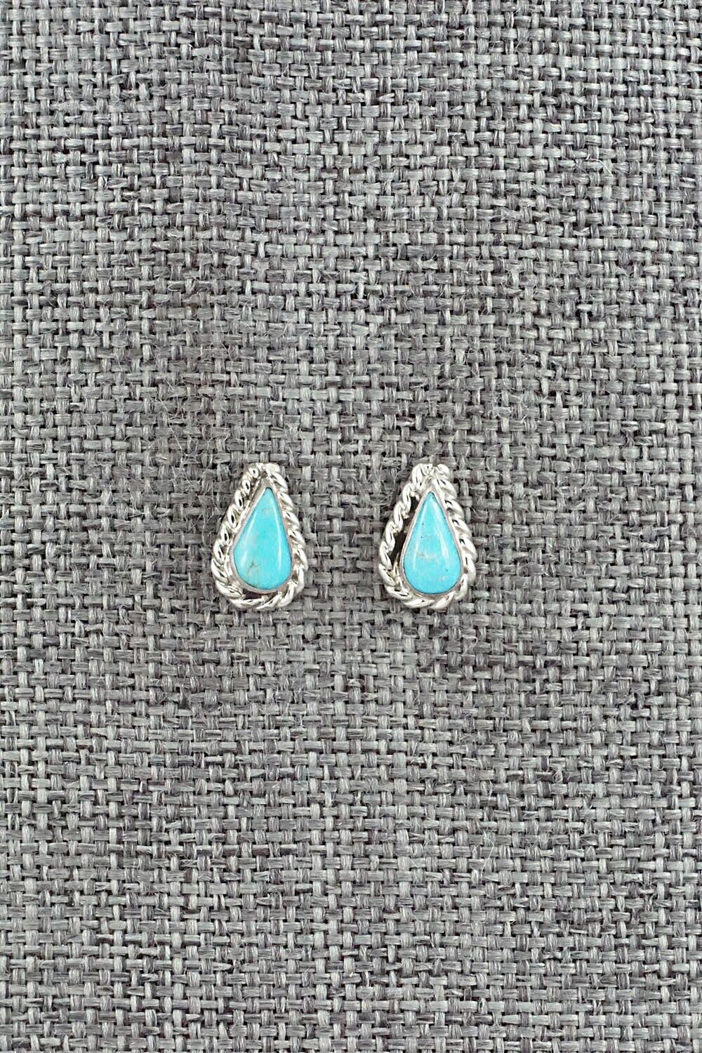Turquoise & Sterling Silver Earrings - Gina Dosedo