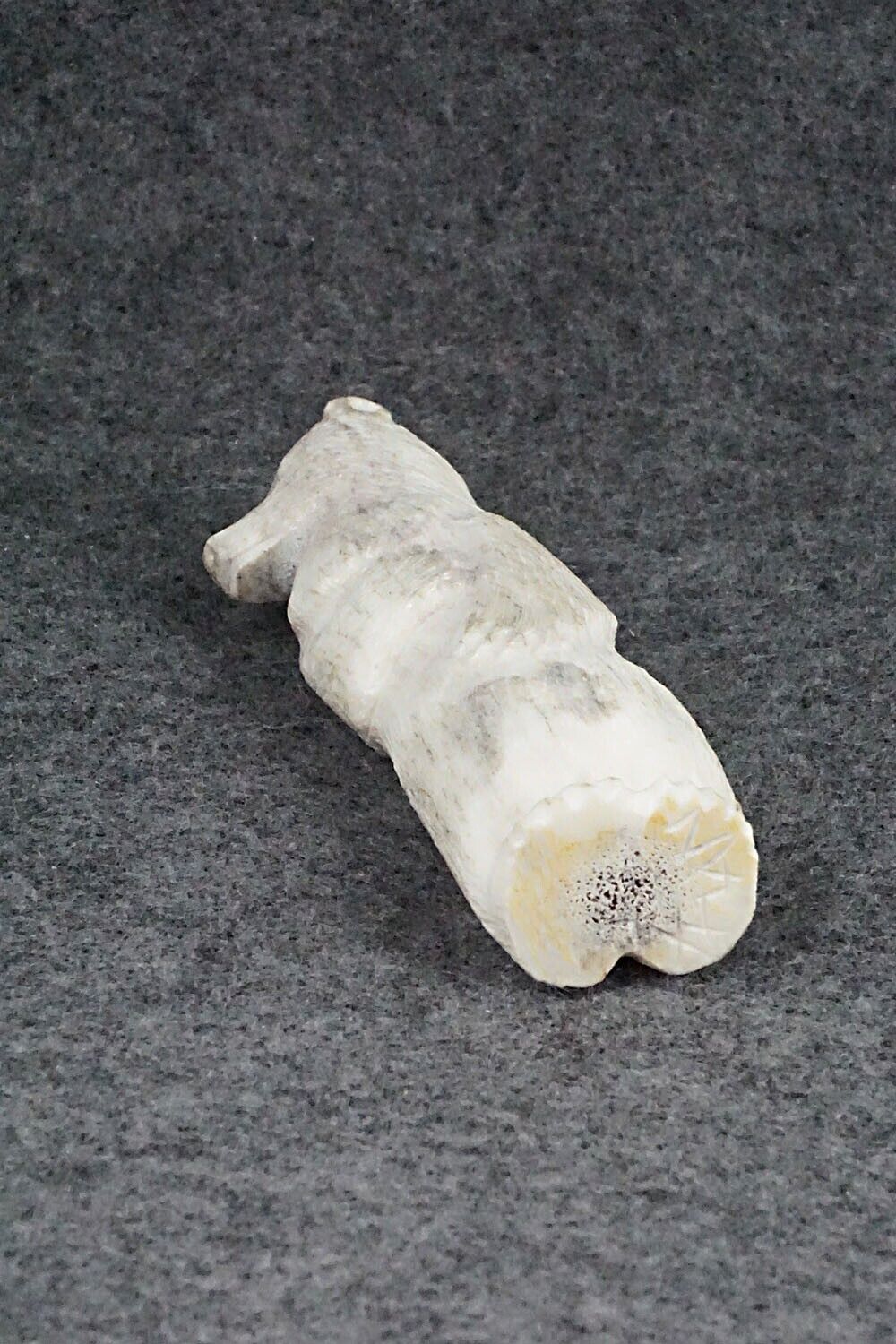 Bear Zuni Fetish Carving - Maxx Laate