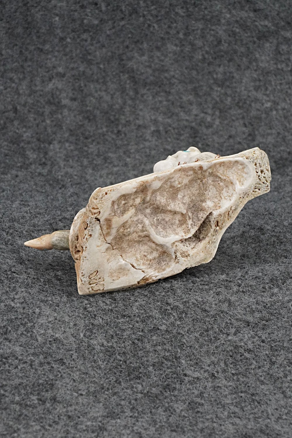 Owls Zuni Fetish Carving - Marvelita Phillips