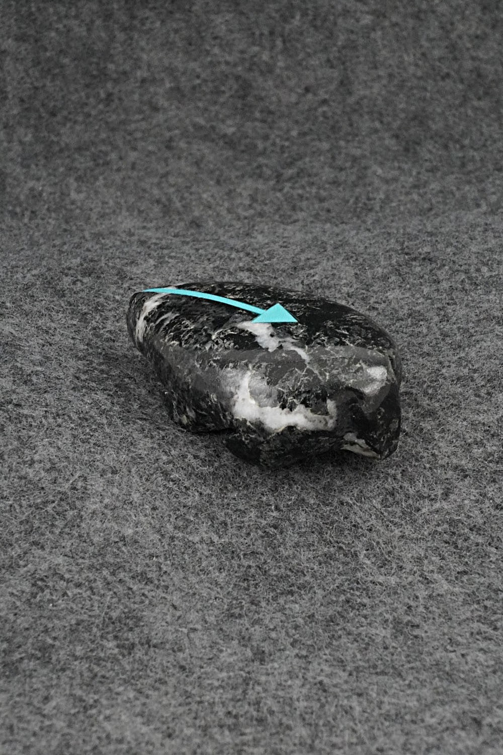 Mole Zuni Fetish Carving - Bernard Laiwakete