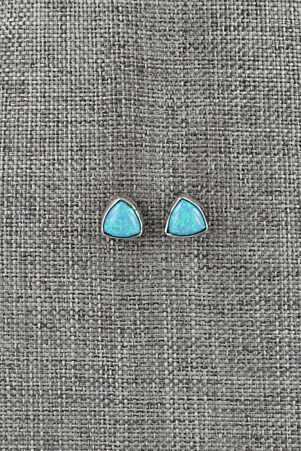 Opalite & Sterling Silver Earrings - Gerald Joe