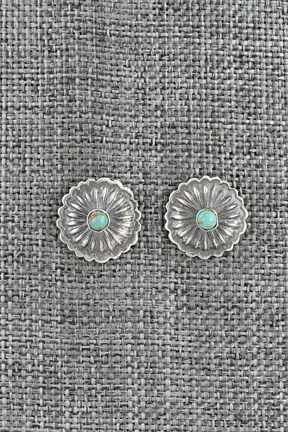 Turquoise & Sterling Silver Earrings - Terry Charlie