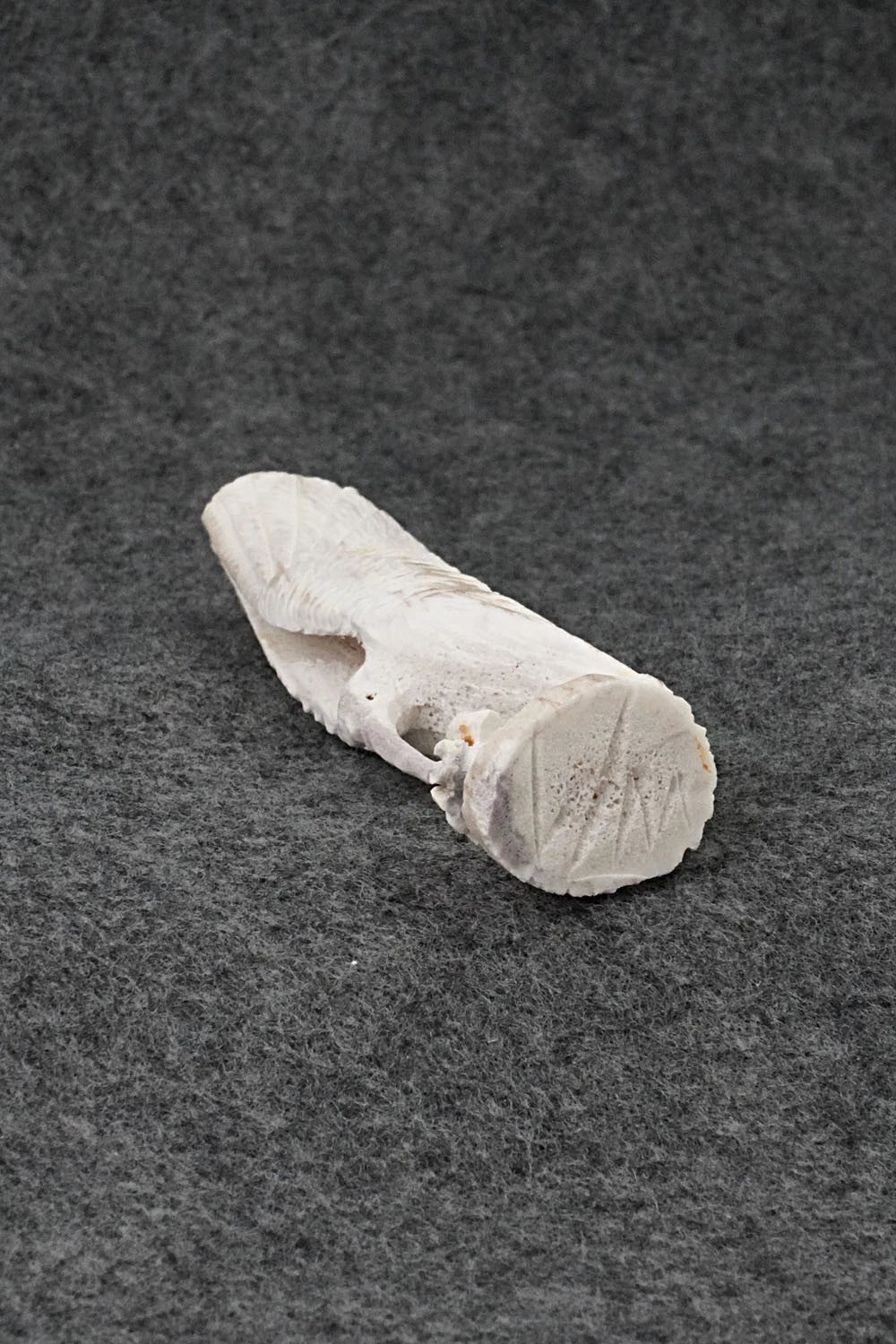Hummingbird Zuni Fetish Carving - Lewis Malie