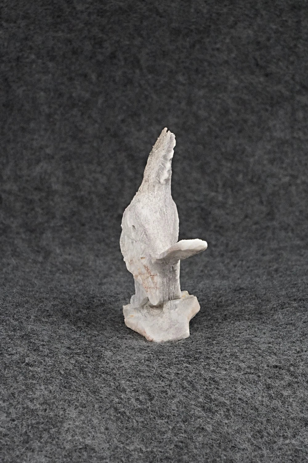Roadrunner Zuni Fetish Carving - Lewis Malie