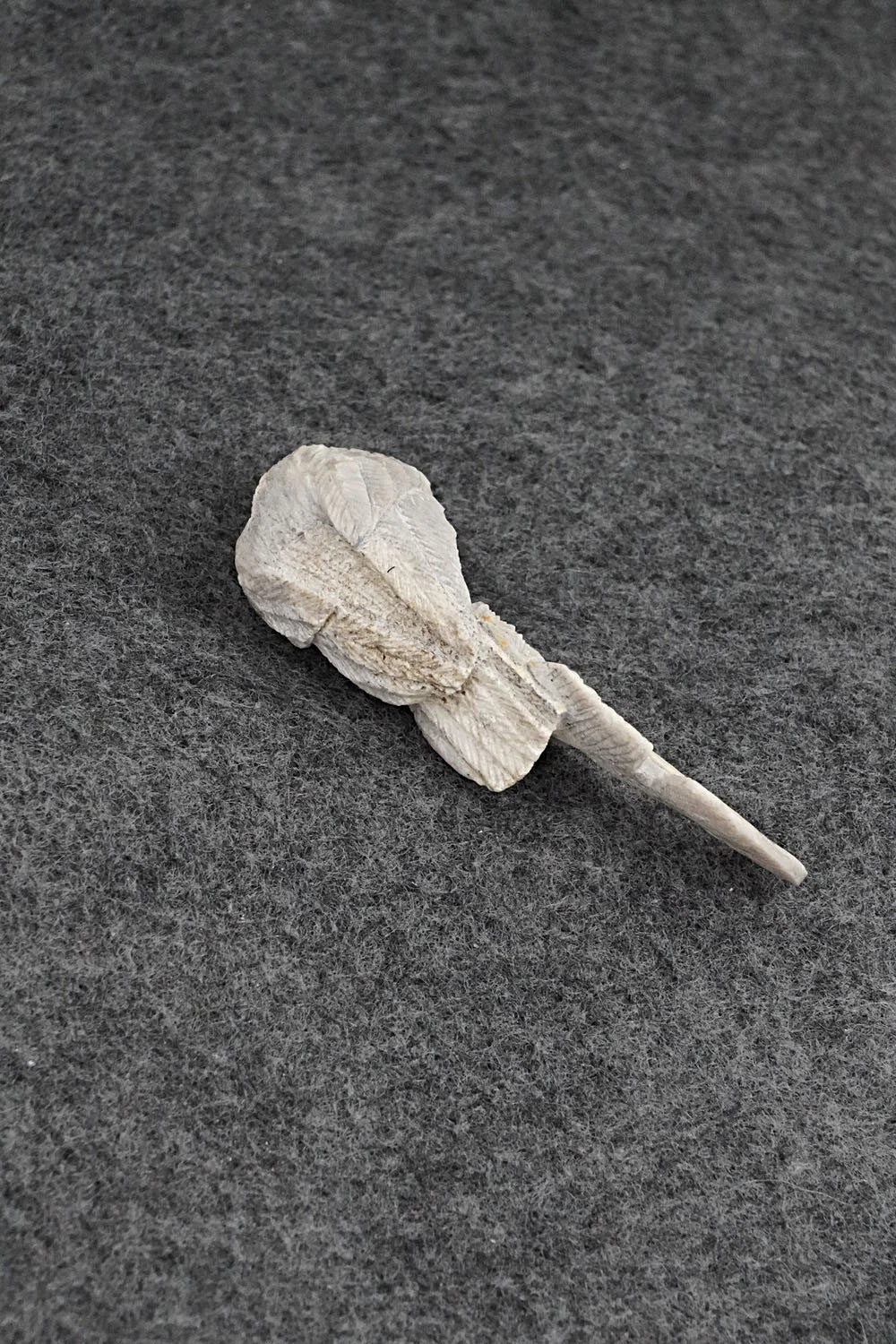 Eagle Zuni Fetish Carving - Lewis Malie