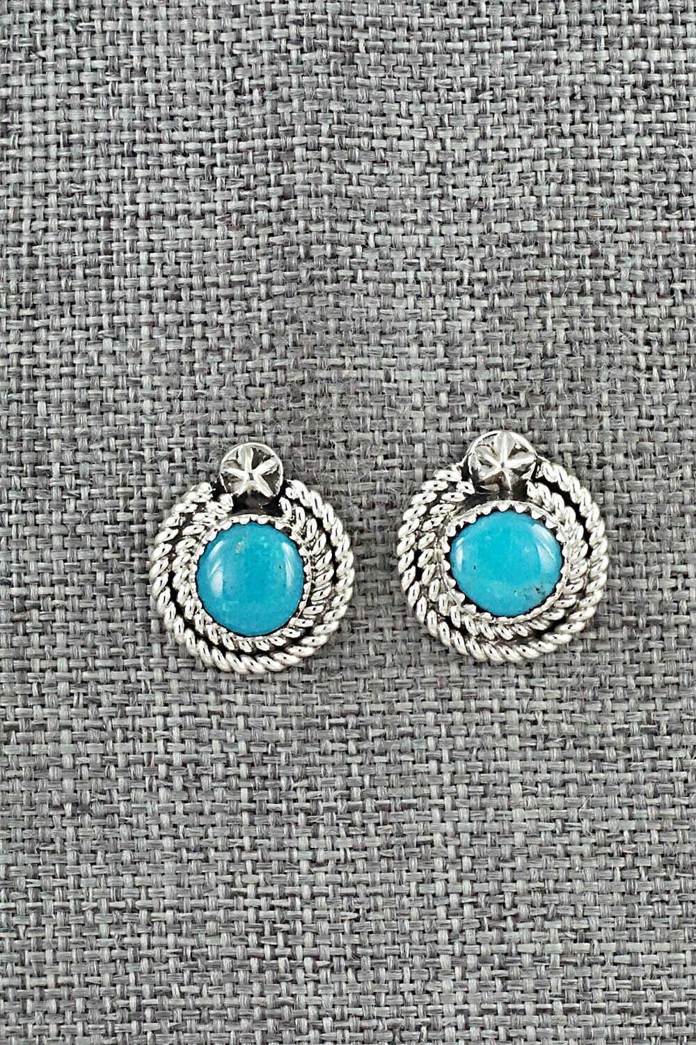 Turquoise & Sterling Silver Earrings - Sandra Parkett