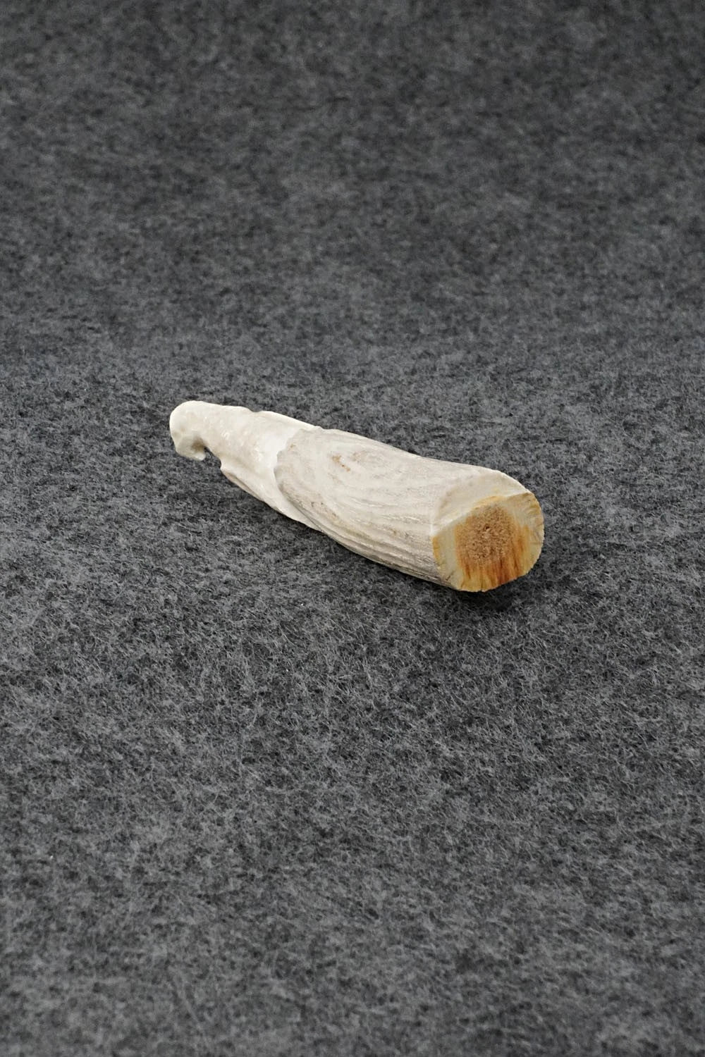 Eagle Zuni Fetish Carving - Maxx Laate