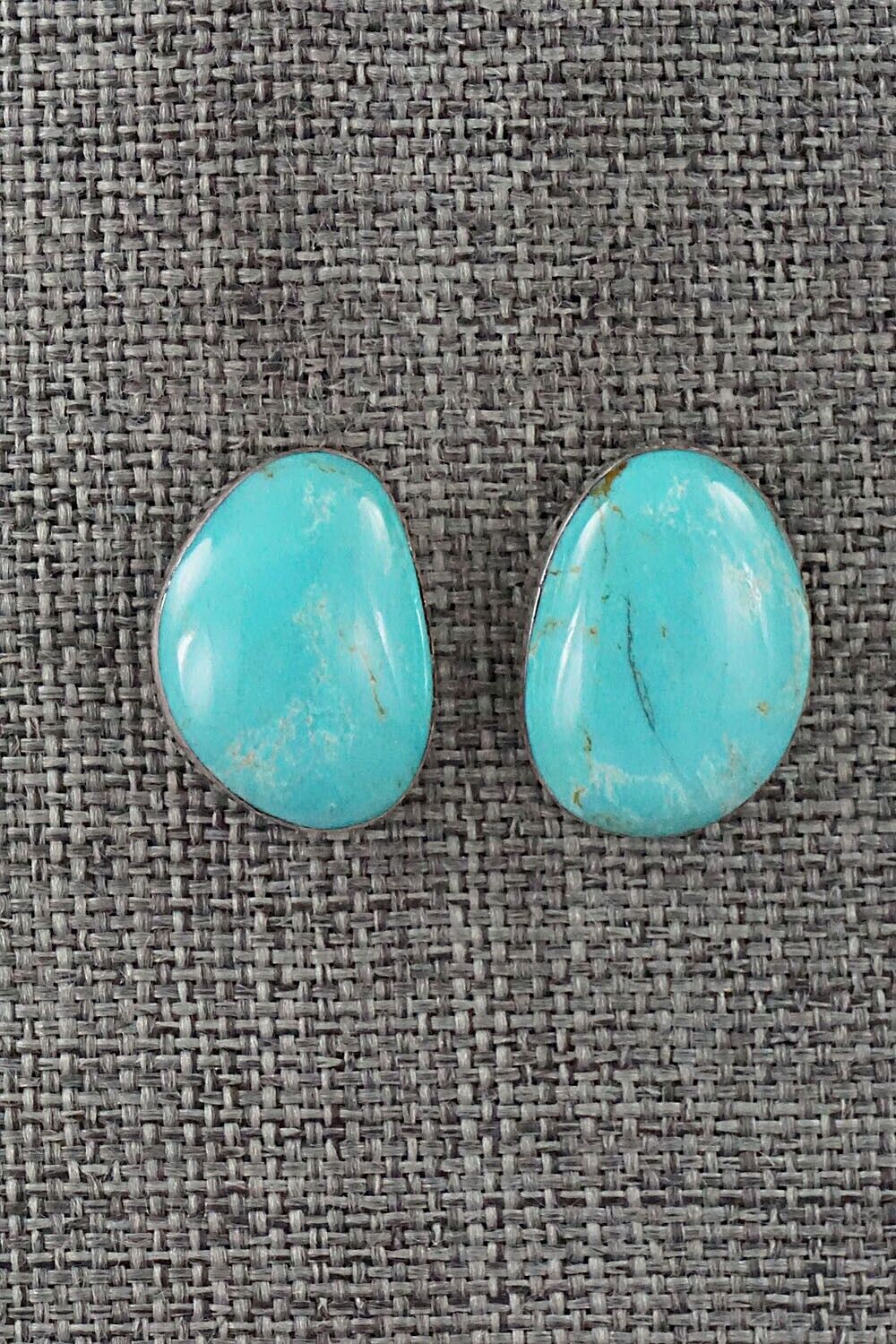 Turquoise and Sterling Silver Earrings - Sharon McCarthy