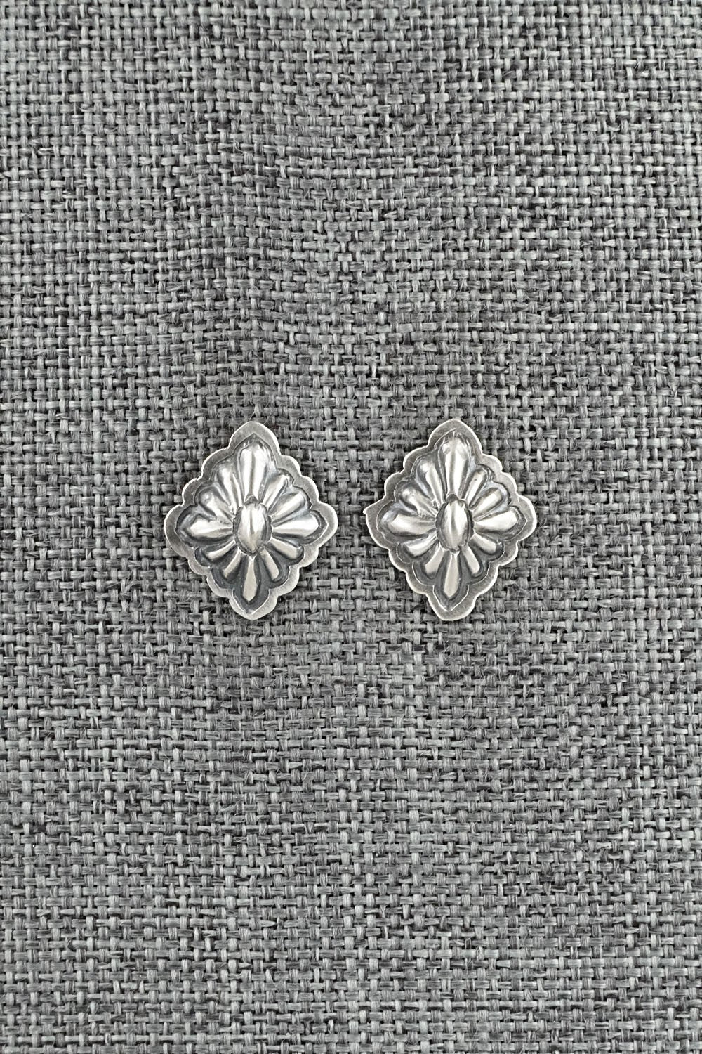 Sterling Silver Earrings - Terry Charlie