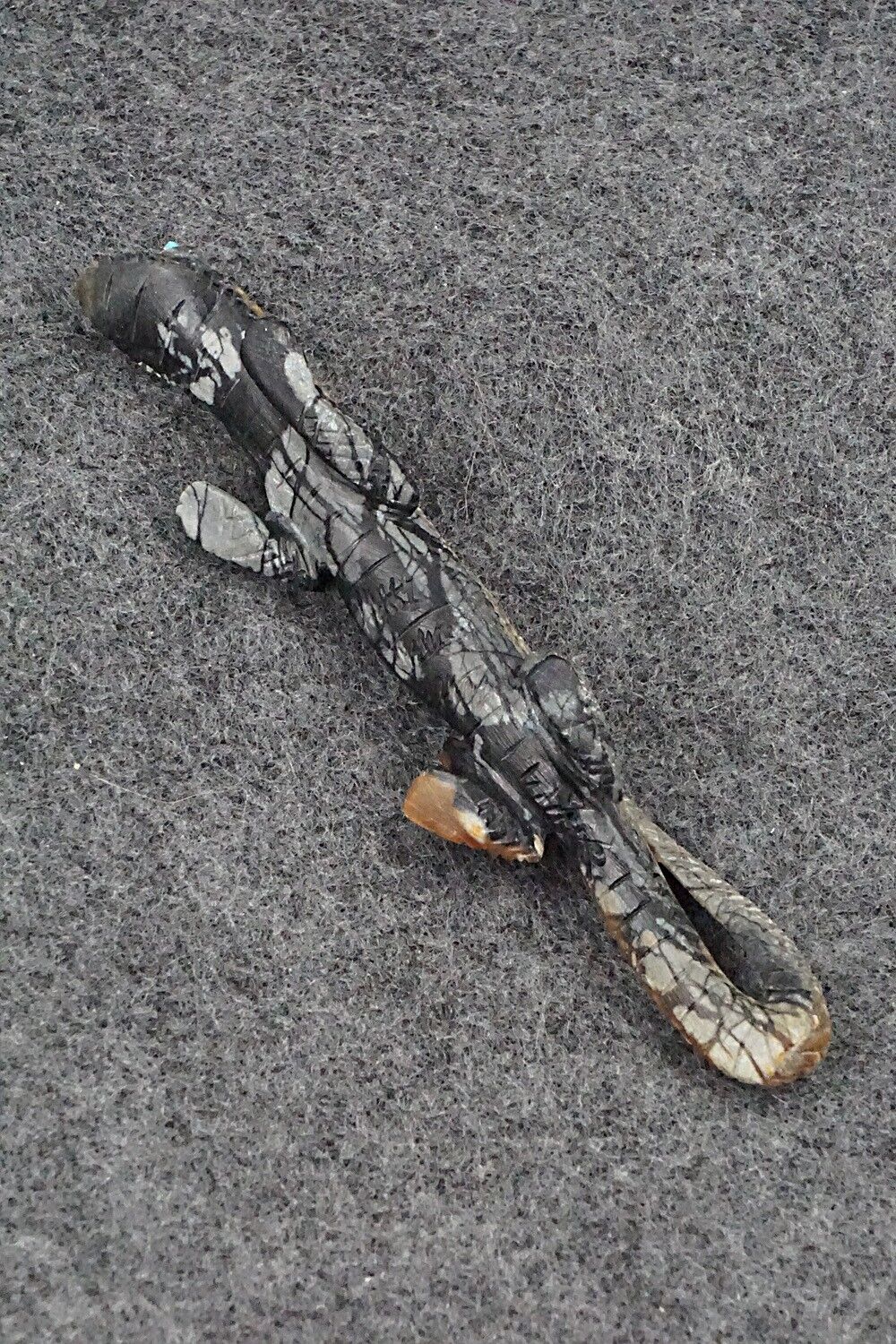 Lizard Zuni Fetish Carving - Lance Cheama