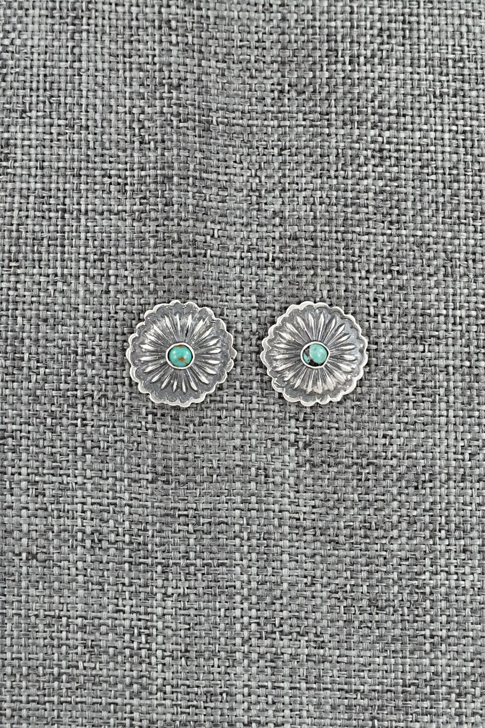 Turquoise & Sterling Silver Earrings - Terry Charlie