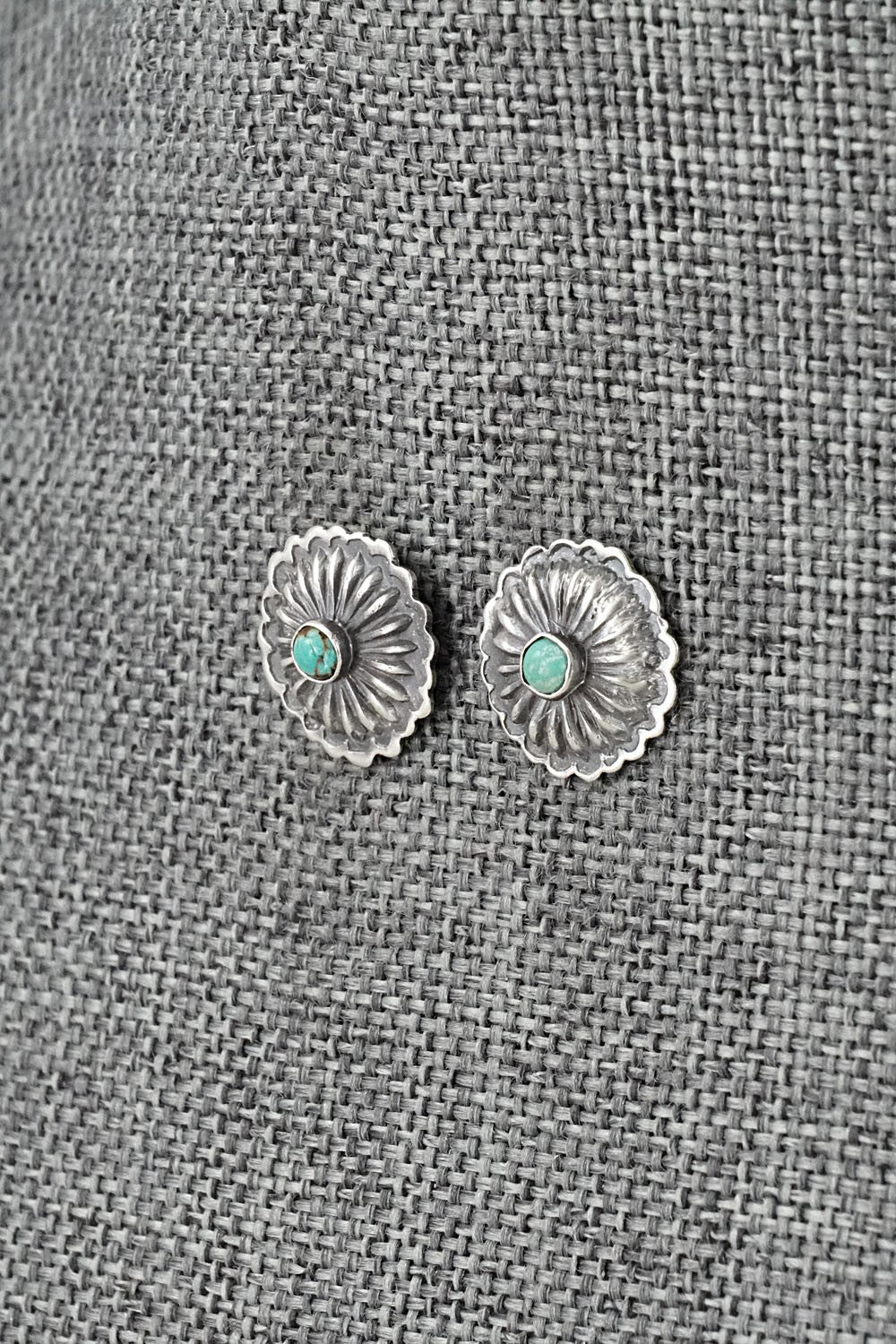 Turquoise & Sterling Silver Earrings - Terry Charlie