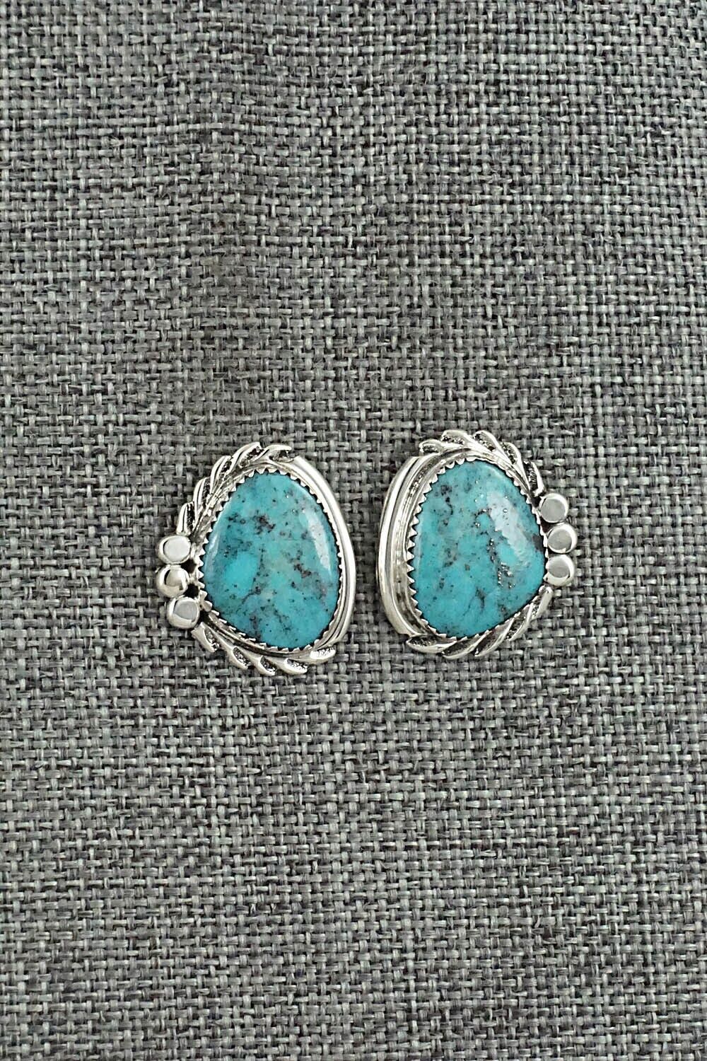Turquoise and Sterling Silver Earrings - Delores Cadman