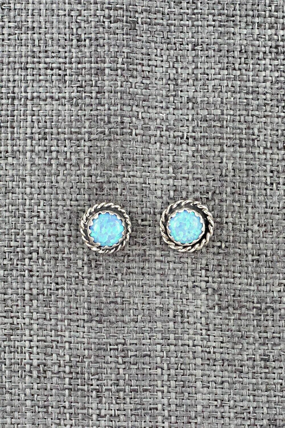 Opalite & Sterling Silver Earrings - Esther White