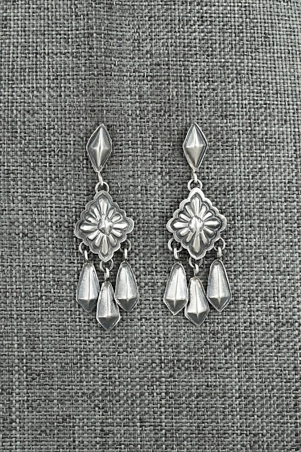 Sterling Silver Earrings - Terry Charlie