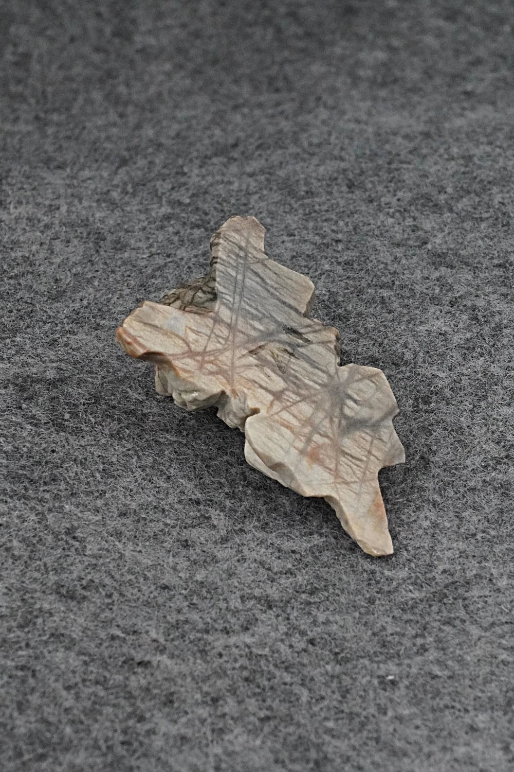 Horned Toad Zuni Fetish Carving - Tony Mackel