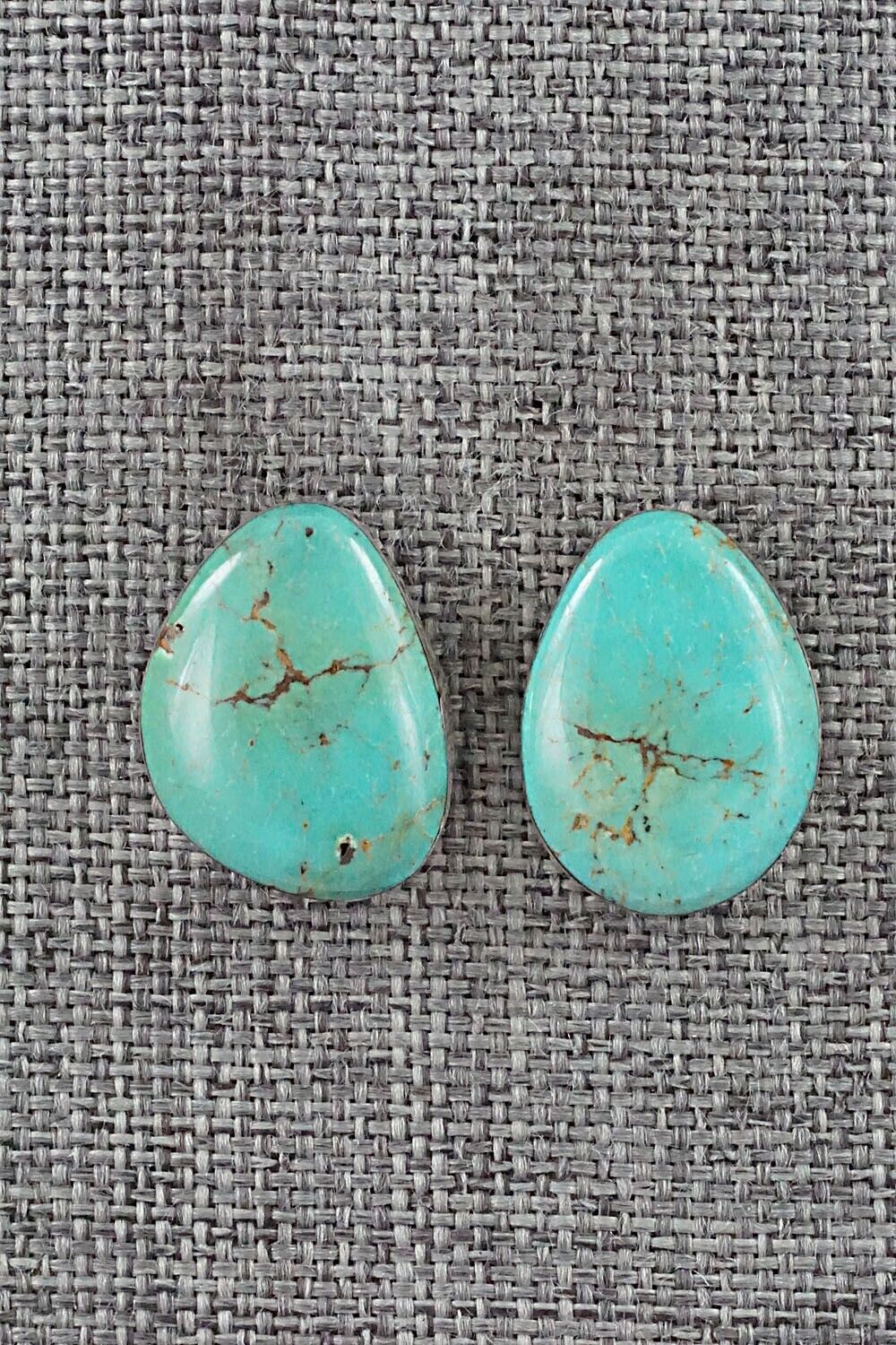 Turquoise and Sterling Silver Earrings - Sharon McCarthy