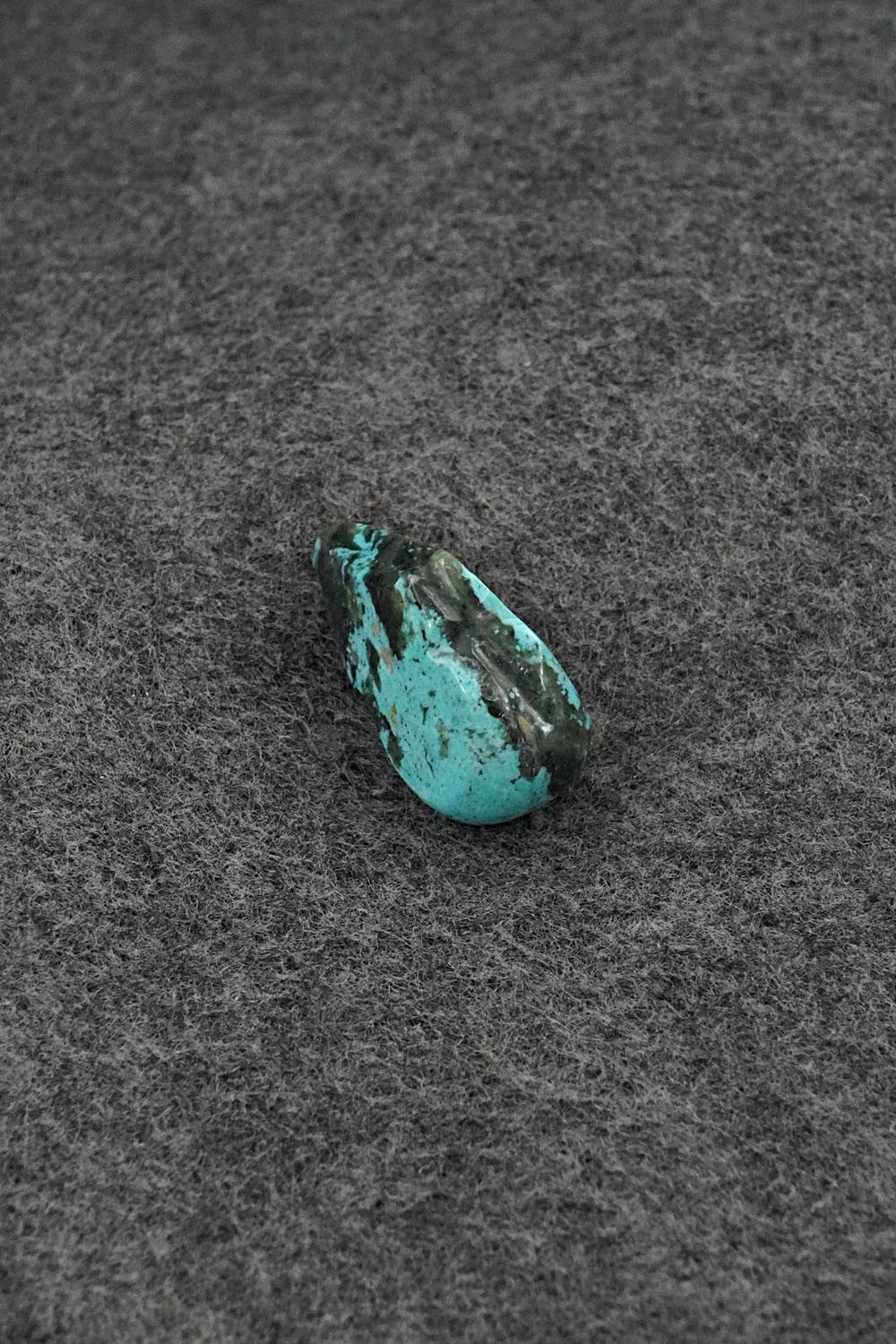 Bear Zuni Fetish Carving - Abby Panteah Quam