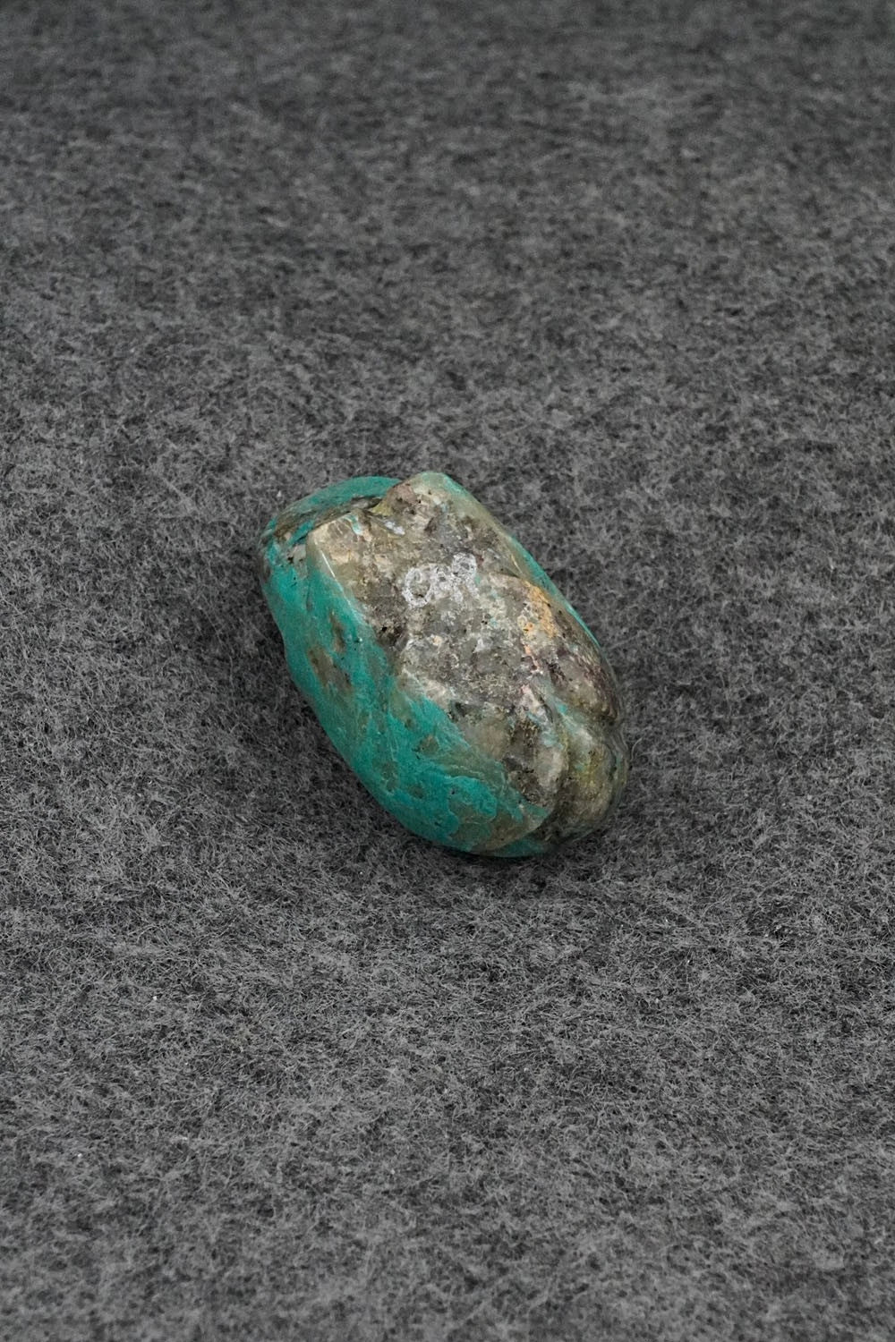 Bear Zuni Fetish Carving - Abby Quam Panteah