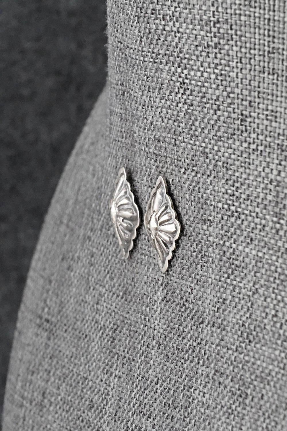 Sterling Silver Earrings - Terry Charlie