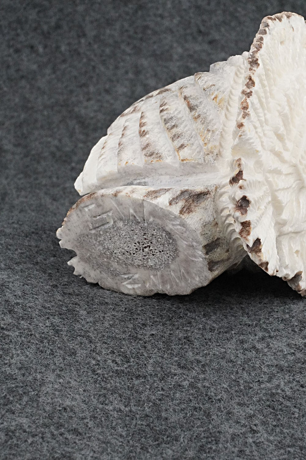 Turkey Zuni Fetish Carving - Garrick Weeka