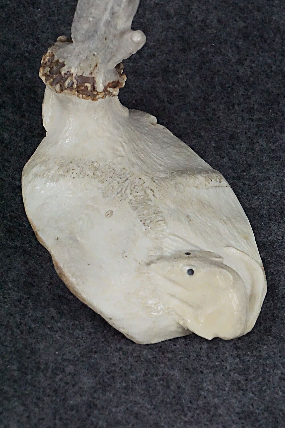Rattlesnake & Mouse Zuni Fetish Carving - Maxx Laate