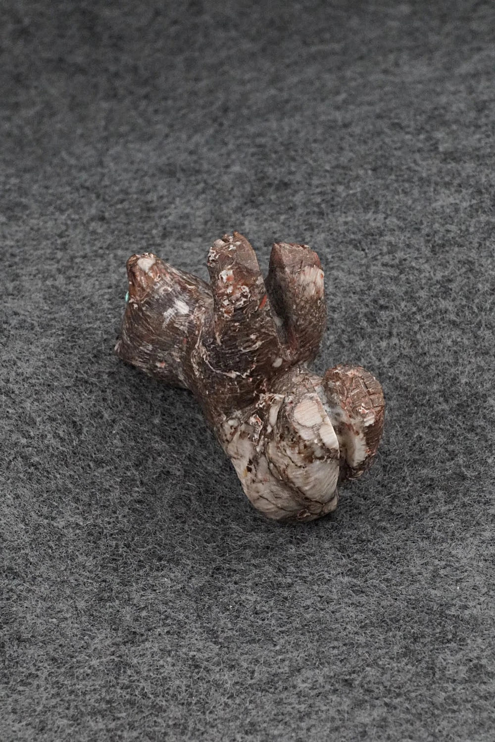 Bear Zuni Fetish Carving - Jonas Hustito