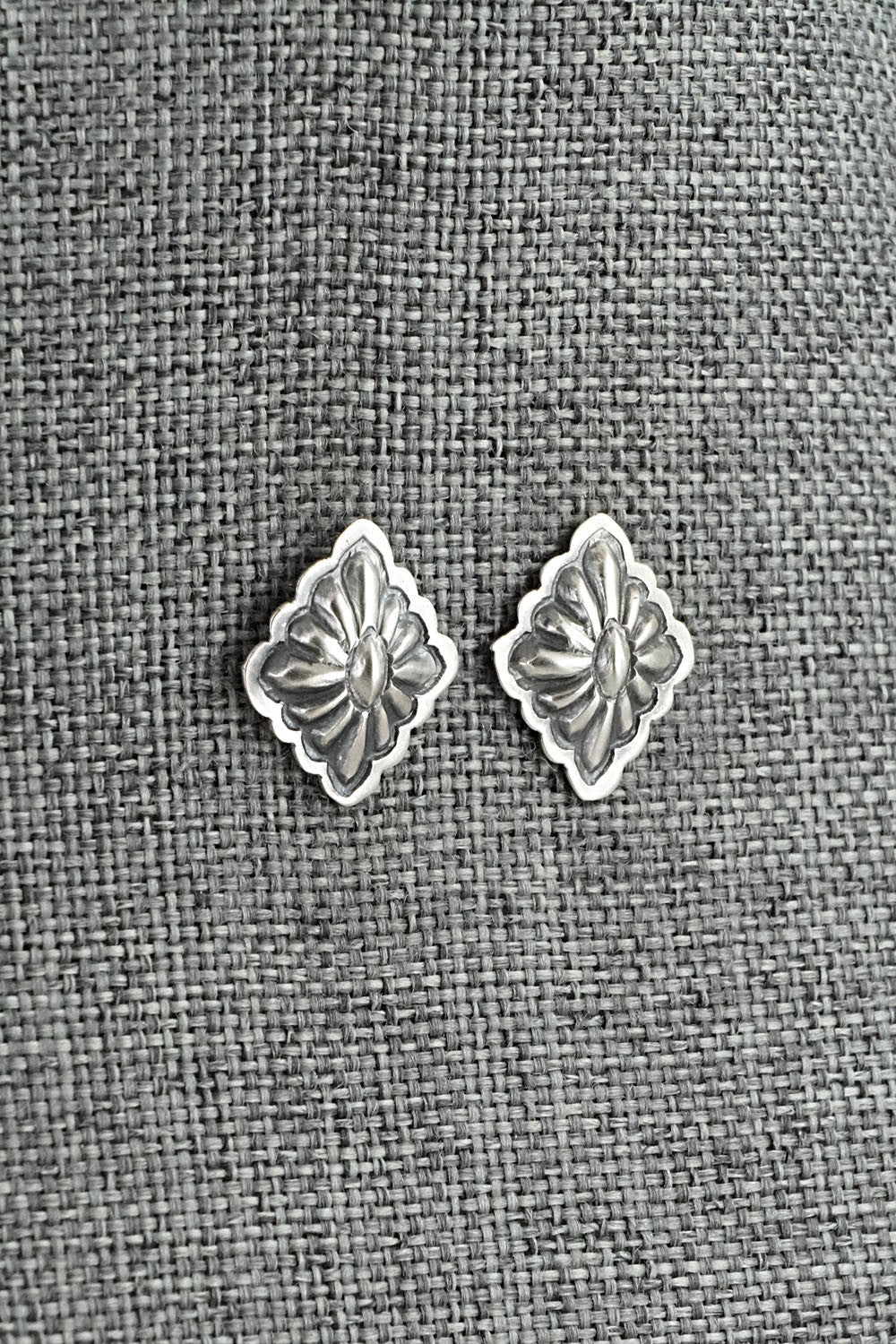 Sterling Silver Earrings - Terry Charlie