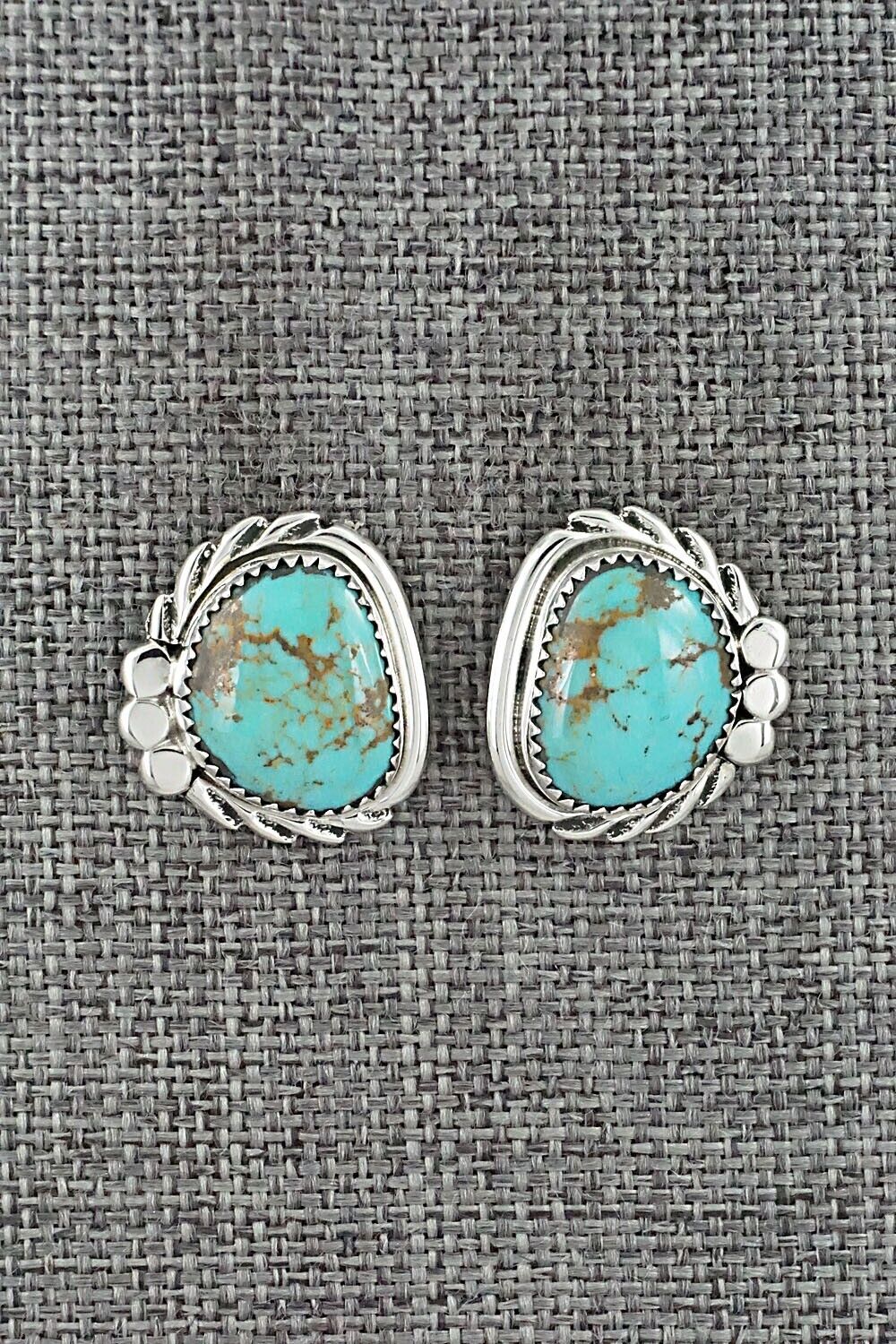 Turquoise and Sterling Silver Earrings - Delores Cadman