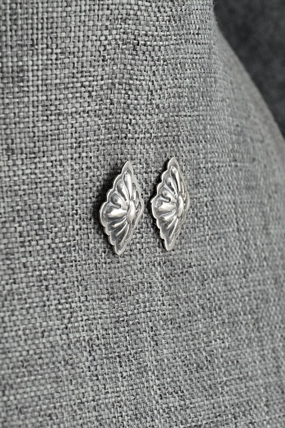 Sterling Silver Earrings - Terry Charlie