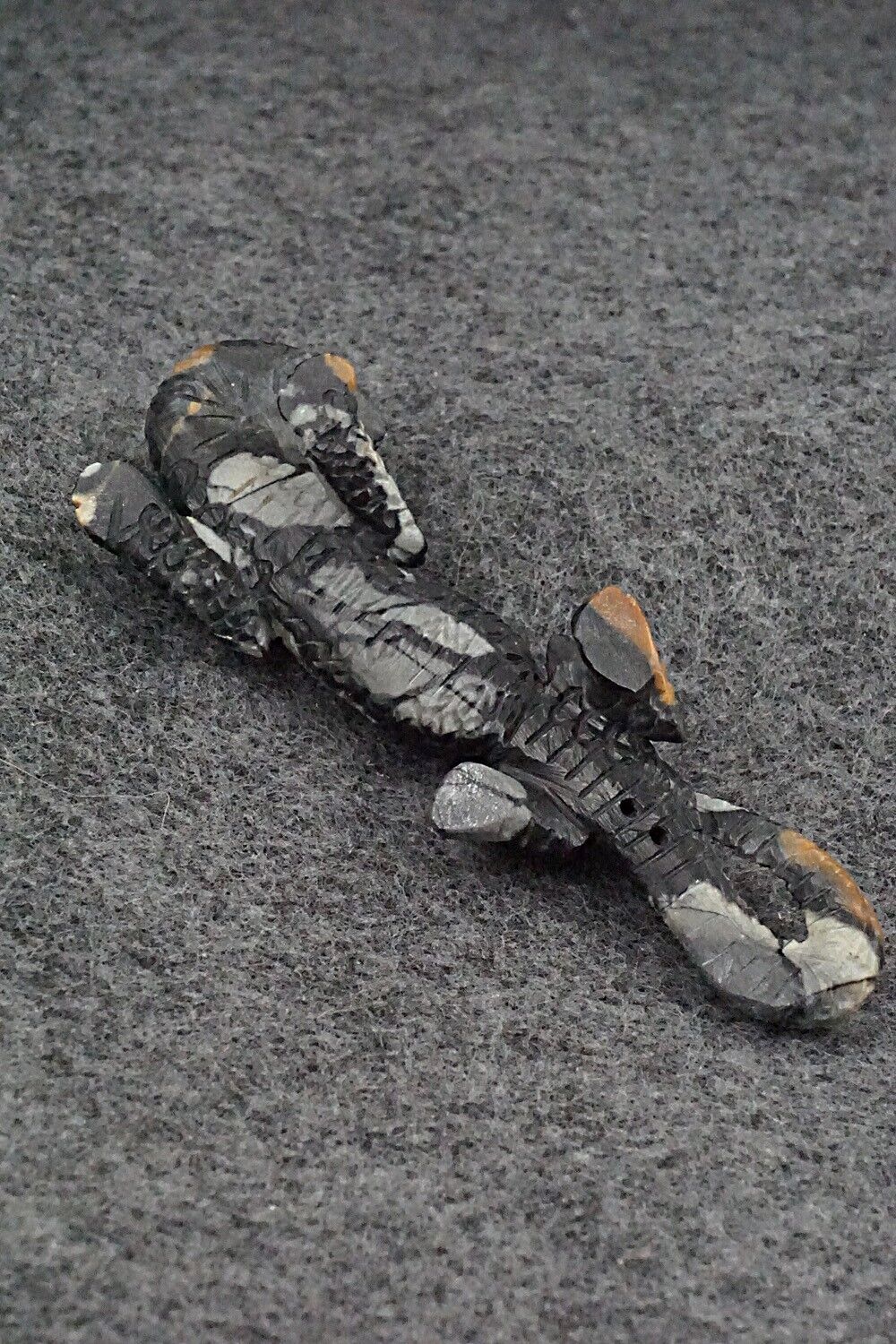 Lizard Zuni Fetish Carving - Lance Cheama