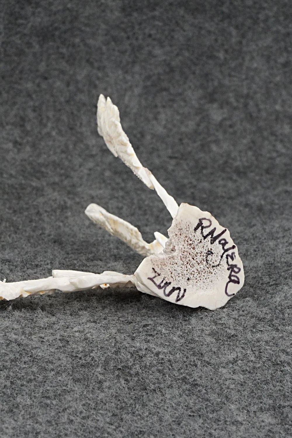 Eagle Zuni Fetish Carving - Ruben Najera
