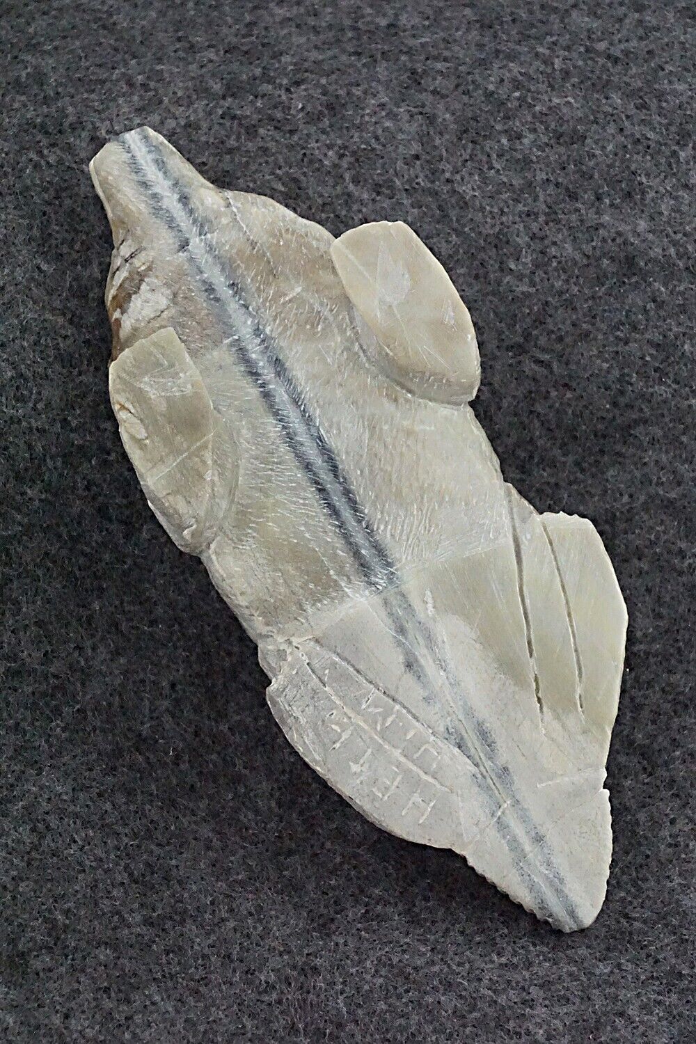 Badger Zuni Fetish Carving - Herbert Him