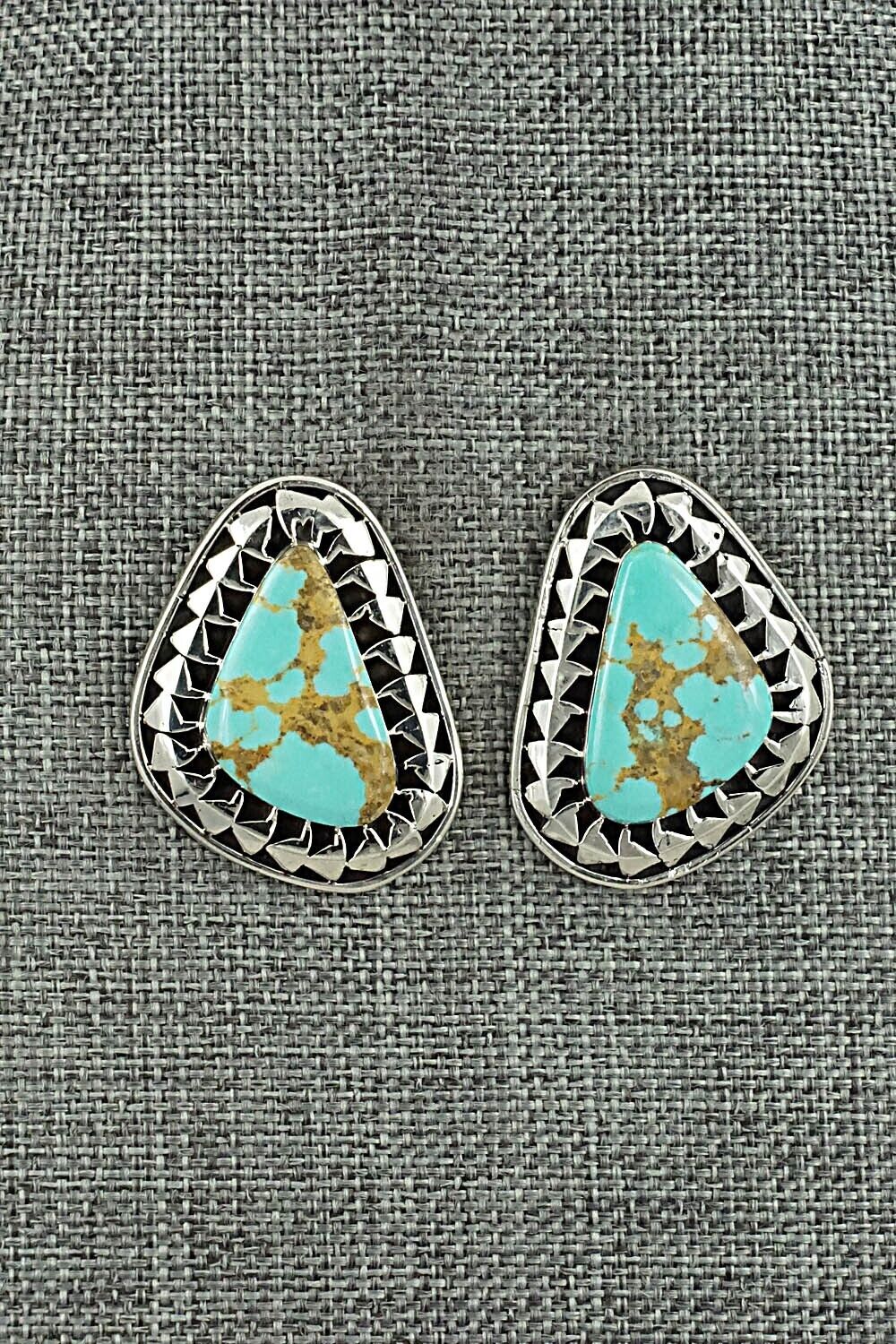 Turquoise & Sterling Silver Earrings - Sharon McCarthy