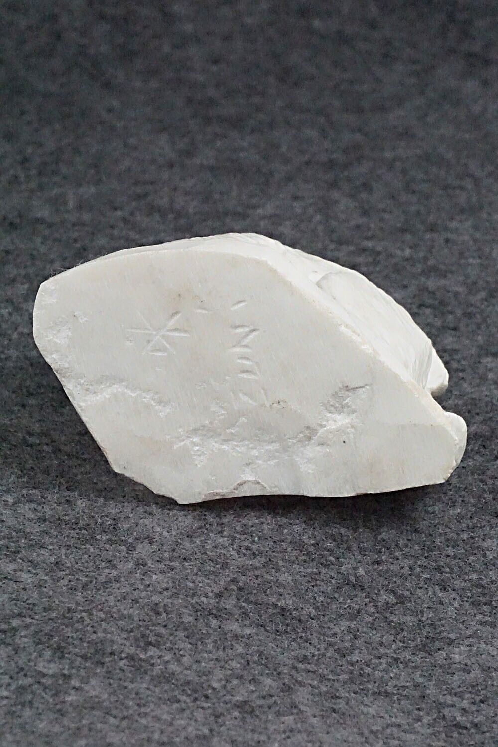 Polar Bear Zuni Fetish Carving - Derrick Kaamasee