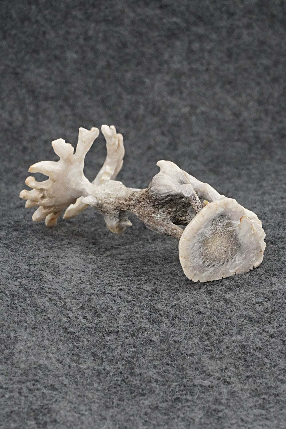 Deer Zuni Fetish Carving - Ruben Najera