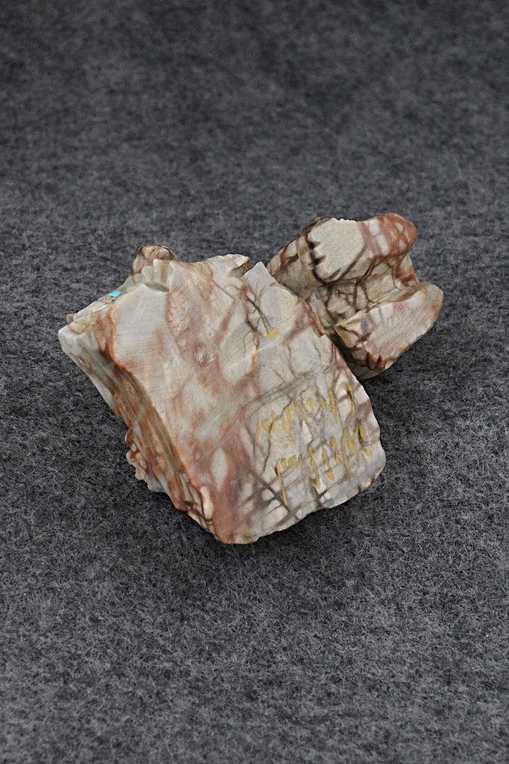 Bear Zuni Fetish Carving - Wilfred Cheama