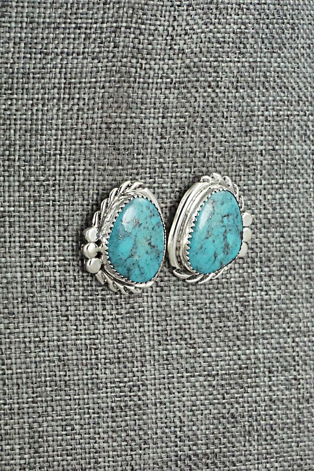 Turquoise and Sterling Silver Earrings - Delores Cadman